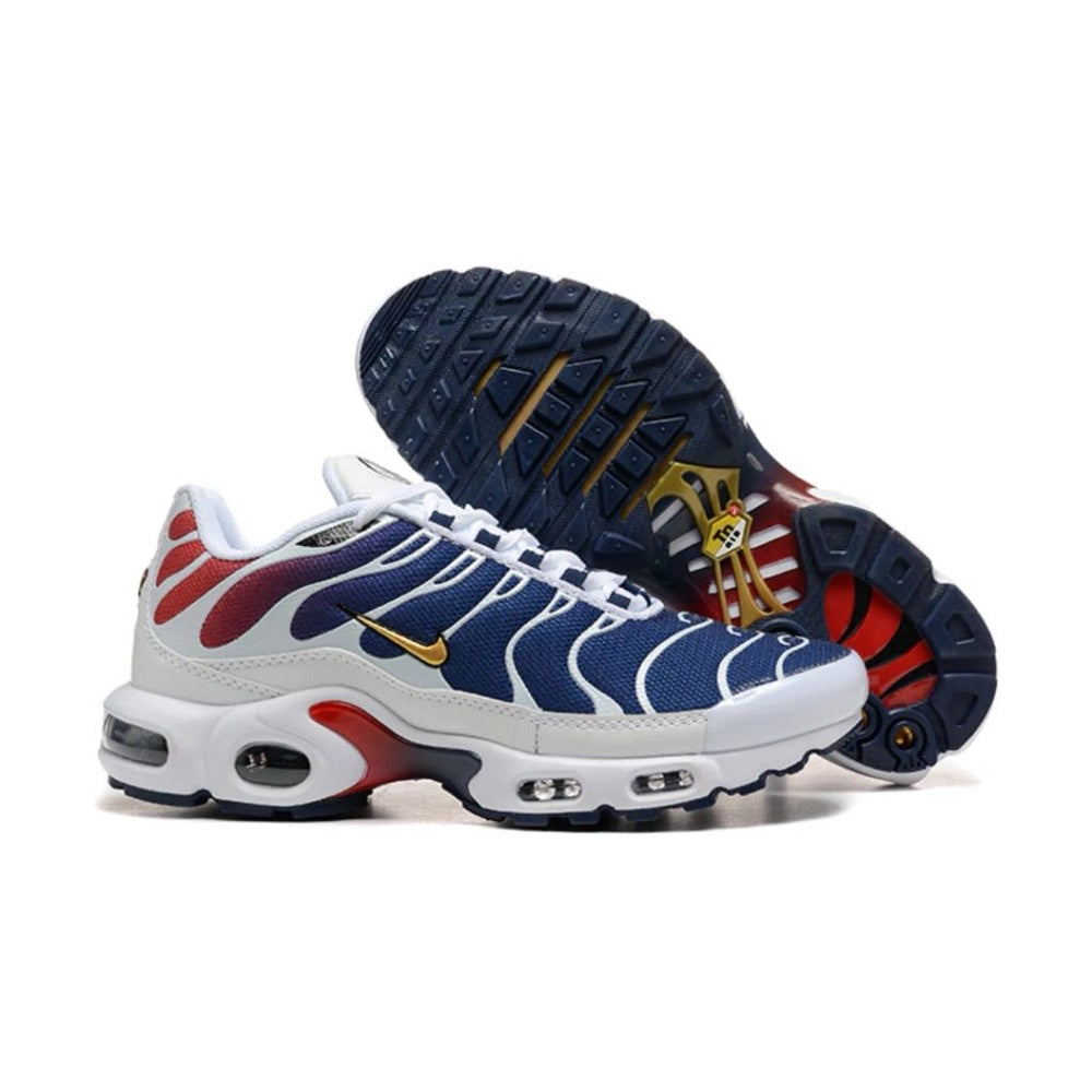 ir Max TN Plus "PSG" (Paris Saint-Germain)